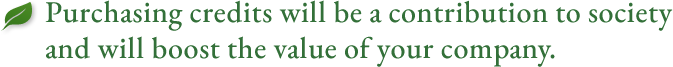 Purchasing credits will be a contribution to society and will boost the value of your company.