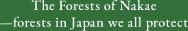 The Forests of Nakae—forests in Japan we all protect