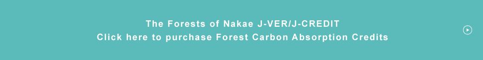 The Forests of Nakae J-VER/J-CREDIT - Click here to purchase Forest Carbon Absorption Credits