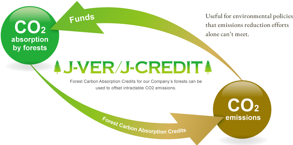 Useful for environmental policies that emissions reduction efforts alone can’t meet.