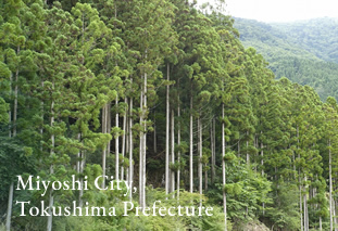 Miyoshi City, Tokushima Prefecture