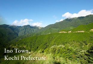 Ino Town, Kochi Prefecture
