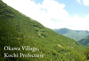 Okawa Village, Kochi Prefecture