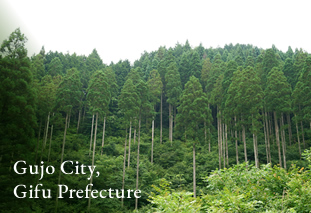 Gujo City, Gifu Prefecture