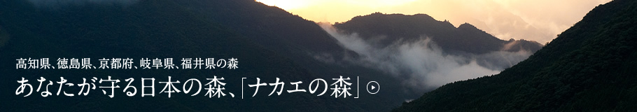 高知県、徳島県、京都府、岐阜県、福井県の森 あなたが守る日本の森、「ナカエの森」