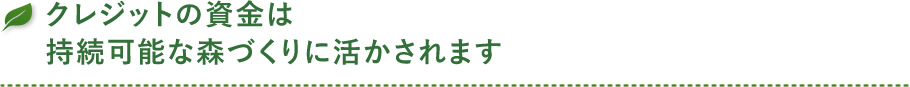 クレジットの資金は持続可能な森づくりに活かされます