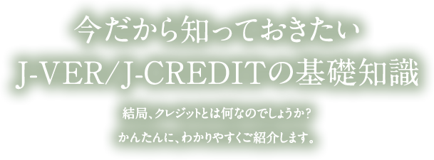 J-VER/J-CREDITの基礎知識｜ナカエの森 地球がよろこぶプロジェクト