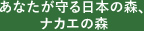 あなたが守る日本の森、ナカエの森