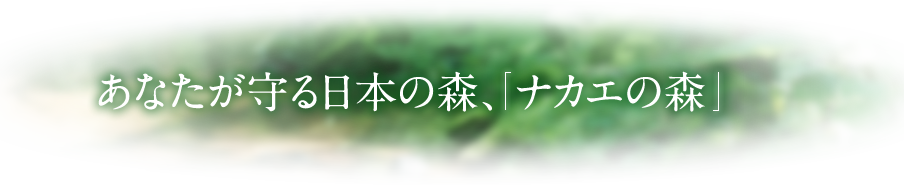 あなたが守る日本の森、 ナカエの森