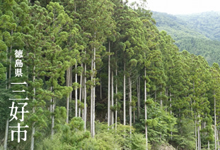 徳島県 三好市