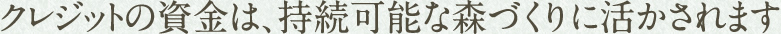 クレジットの資金は、持続可能な森づくりに活かされます