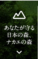 あなたが守る日本の森、ナカエの森