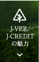 J-VER/J-CREDITの魅力