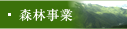 中江産業株式会社 森林事業